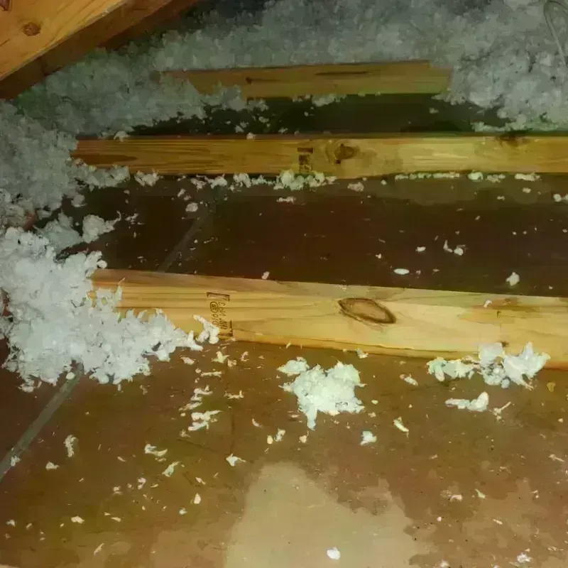 Attic Water Damage in Rising Sun, IN