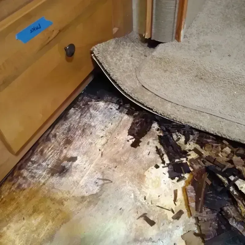 Wood Floor Water Damage in Rising Sun, IN